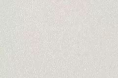 OrtoFoam